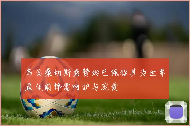 乌戈桑切斯盛赞姆巴佩称其为世界最佳前锋需呵护与宠爱
